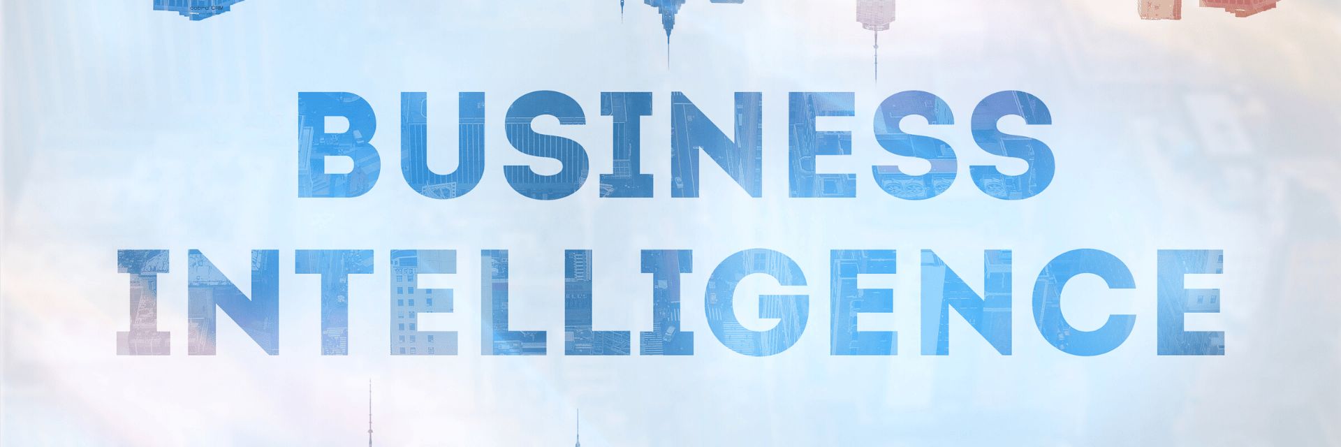 cobra crm bi